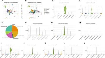 The role of tumor-associated macrophages in glioma cohort: through both traditional RNA sequencing and single cell RNA sequencing